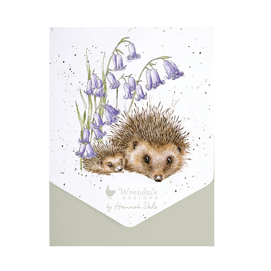 Wrendale Writing Set 8 Cards HEDGEHOGS bluebells