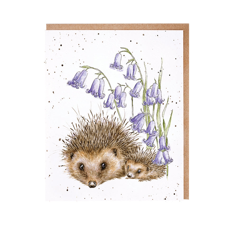 Wrendale Writing Set 8 Cards HEDGEHOGS bluebells