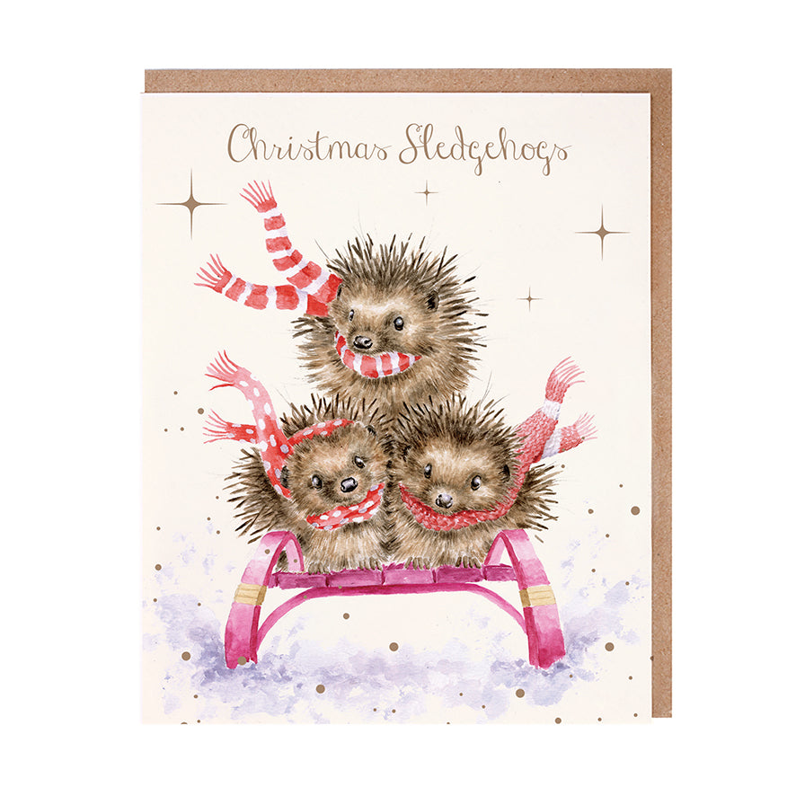 Wrendale Designs Christmas Cards pk-8 HEDGEHOGS red white scarves