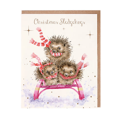 Wrendale Designs Christmas Cards pk-8 HEDGEHOGS red white scarves