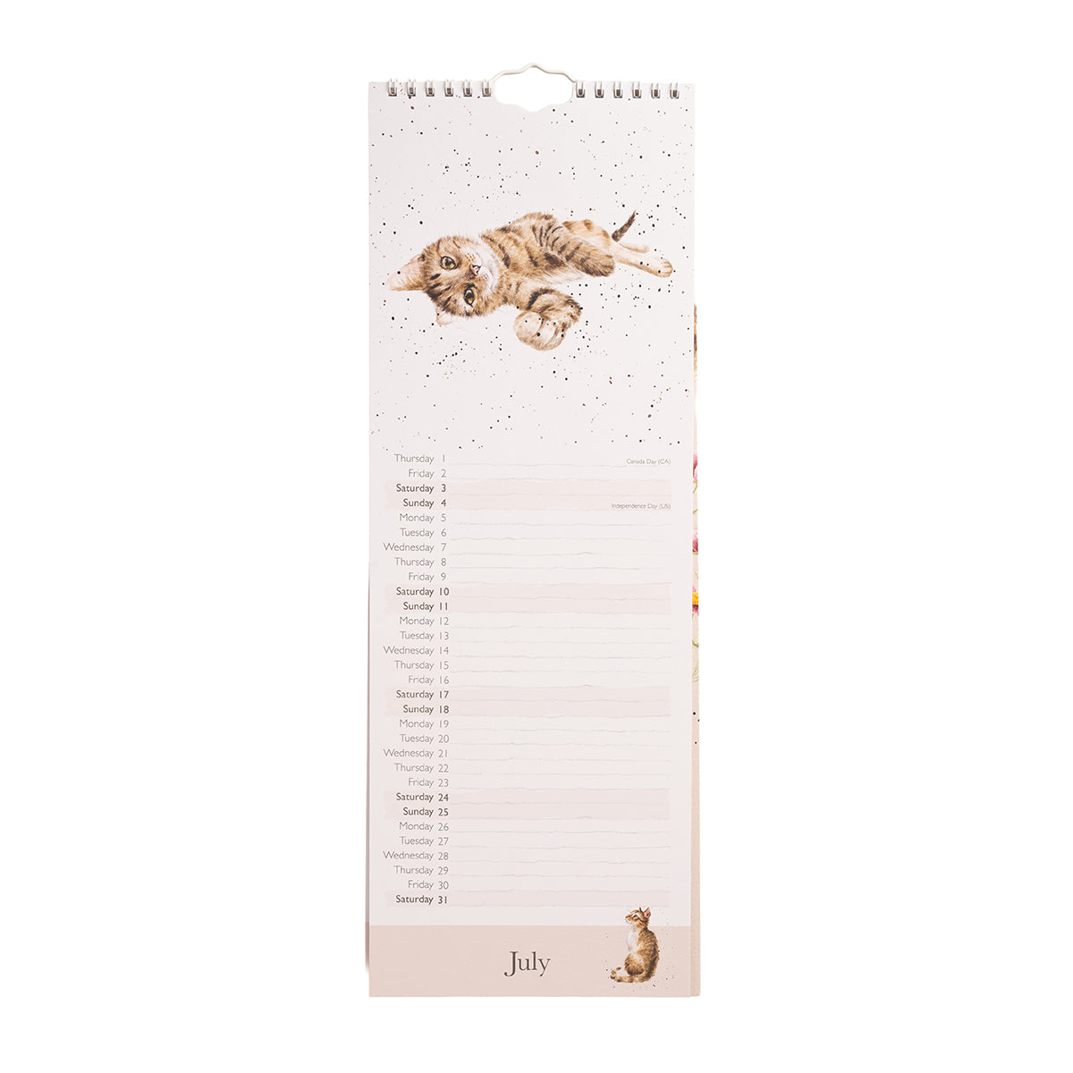 Wrendale Designs 2027 Calendar Slim FELINE FRIENDS