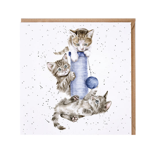 Wrendale Designs card Country Set THREE'S A CROWD kittens