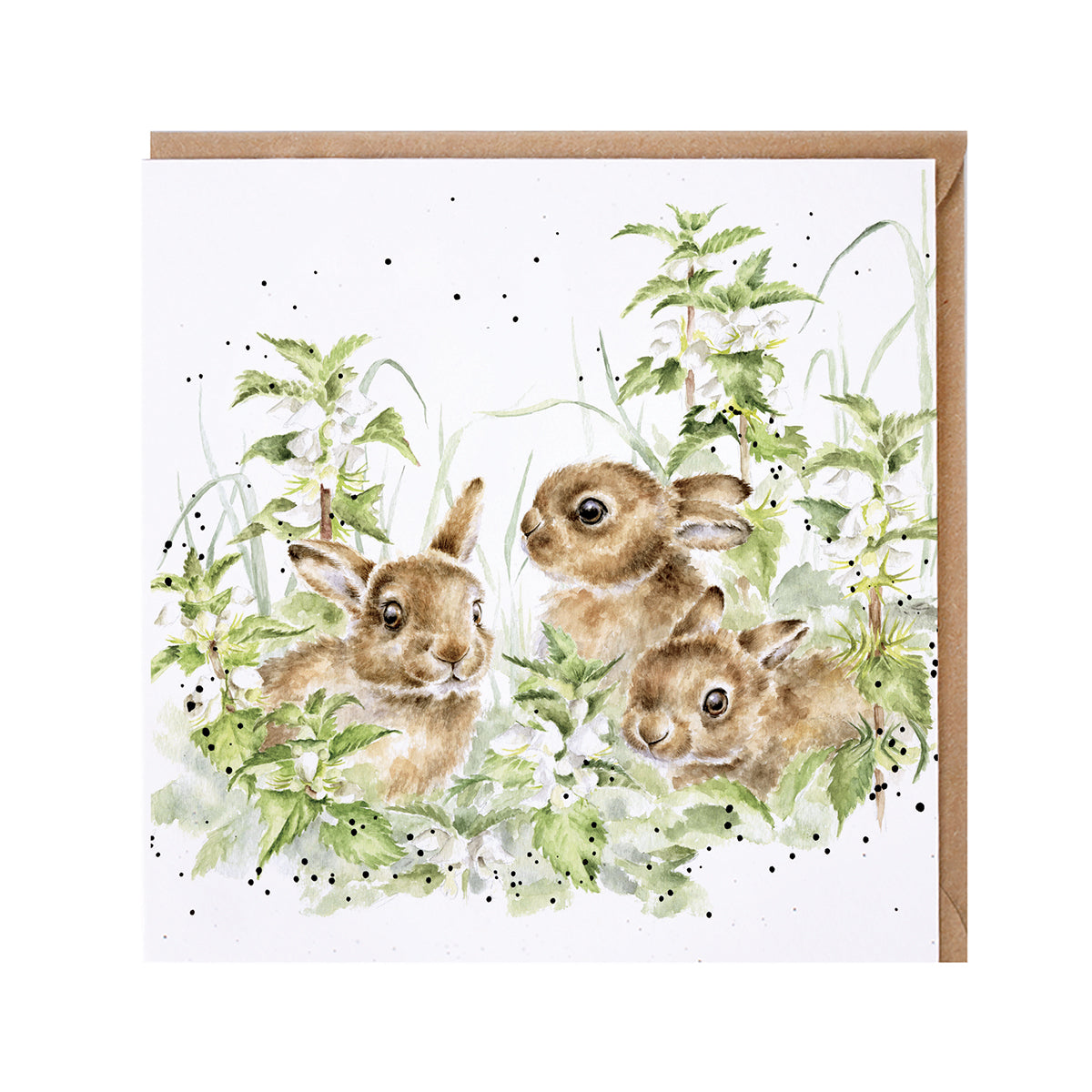 Wrendale Designs card Country Set SPRING HARES leverets