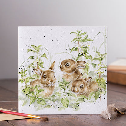 Wrendale Designs card Country Set SPRING HARES leverets