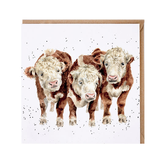 Wrendale Designs card Country Set PADDY PERCY & PEDRO Herefords