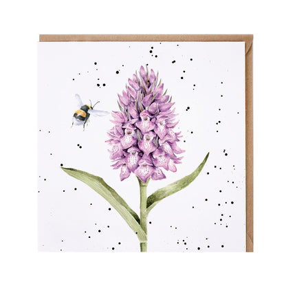 Wrendale Designs card Country Set MARSH ORCHID bee