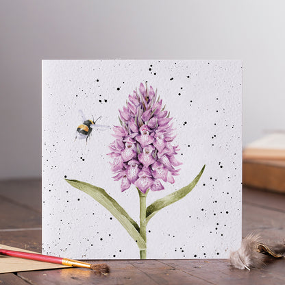 Wrendale Designs card Country Set MARSH ORCHID bee