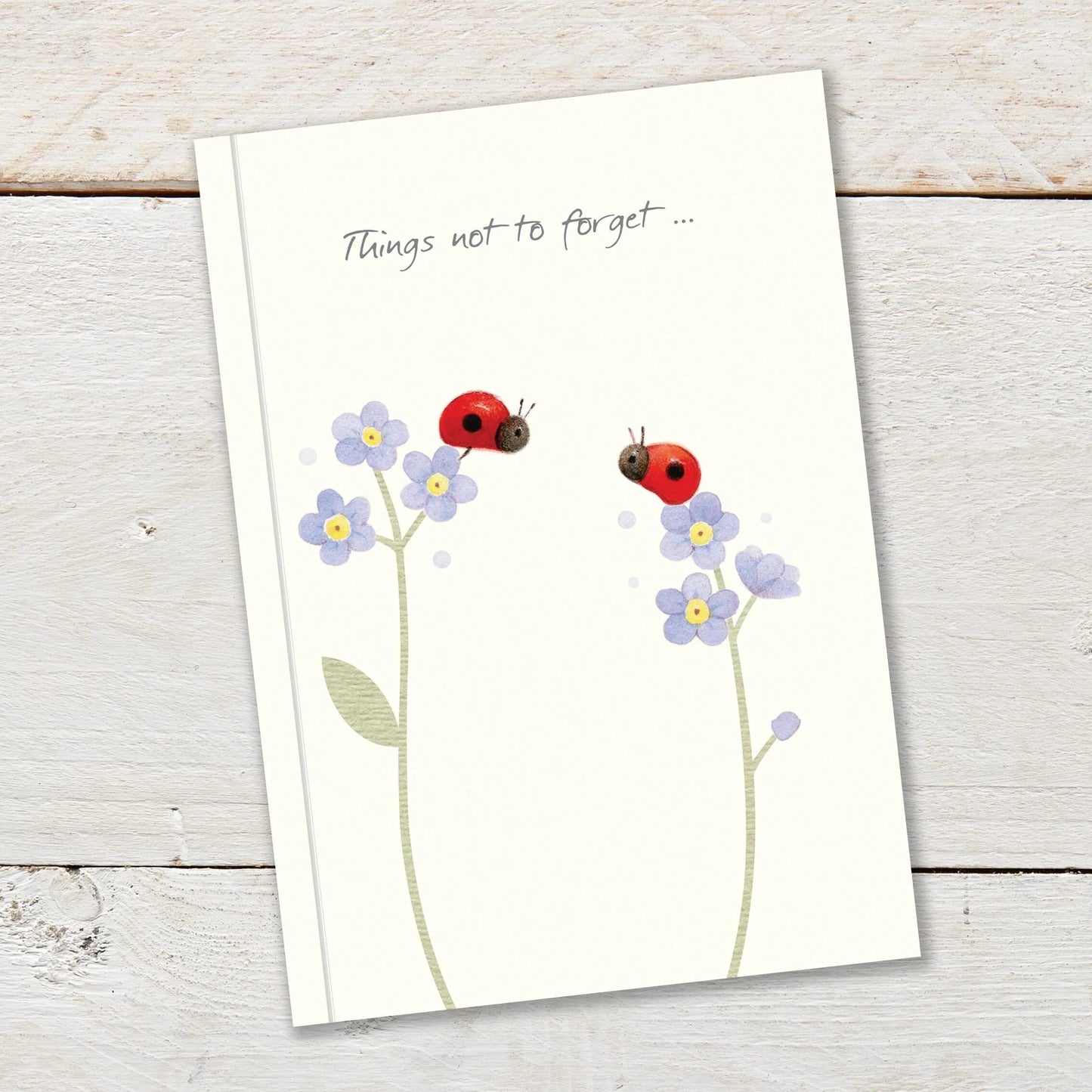 Ginger Betty Notebook A6 LADYBIRDS