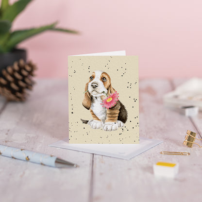 Wrendale Designs Mini card PUPPY Just For You