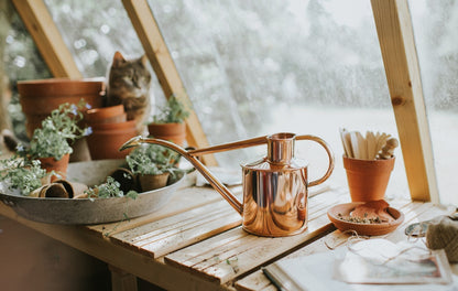 Haws Watering Can Indoor ROWLEY RIPPLE 1L COPPER