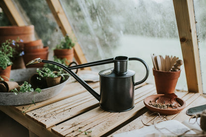 Haws Watering Can Indoor ROWLEY RIPPLE 1L GRAPHITE