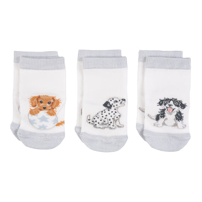 Wrendale Little Wren 6-12months Socks LITTLE PAWS blue