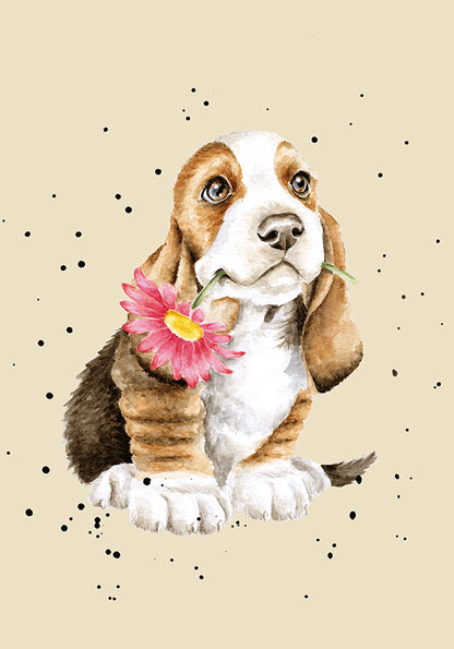 Wrendale Designs Notebook A6 BASSET HOUND red gerbera