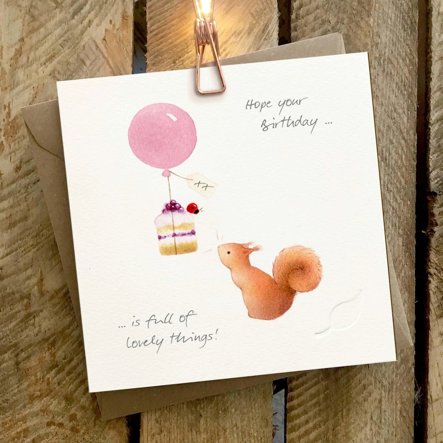 Ginger Betty Birthday card SQUIRREL ladybird