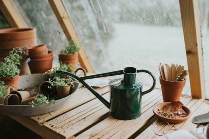 Haws Watering Can Indoor ROWLEY RIPPLE 1L GREEN