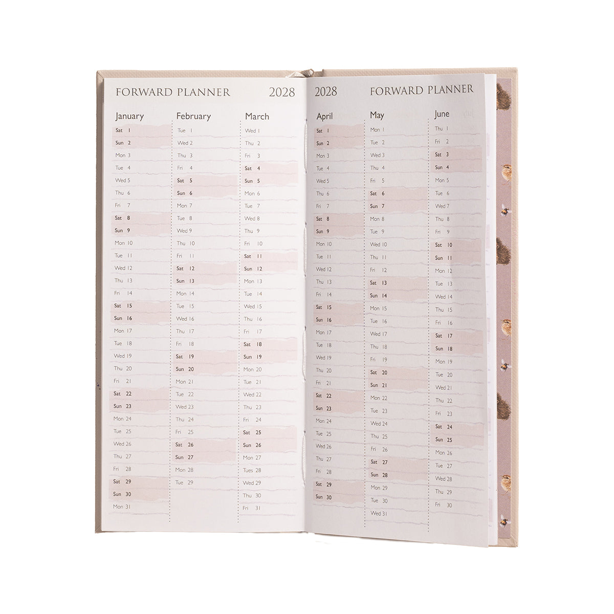 An open 2028 forward planner with two inner pages spread open, showing monthly calendar grids in black text on a pale blush-beige background. The planner has a light beige cover with gold-toned grommets visible on the right edge.