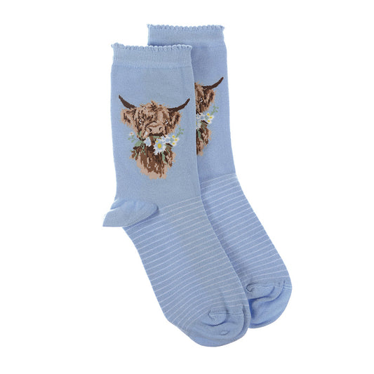 Wrendale Designs medium-sized Socks featuring Hannah Dale's illustration of a  Highland Cow on a blue background and titled <I>Daisy Coo</I>