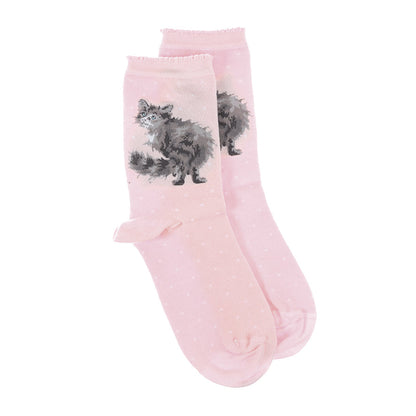 Wrendale Designs medium-sized Socks featuring Hannah Dale's illustration of a fluffy, grey Cat on a pink background and titled <I>Glamour Puss</I>