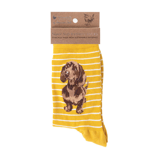 Wrendale Designs medium-sized Socks featuring Hannah Dale's illustration of a Dachshund on a yellow background and titled <I>Little Dachs</I>