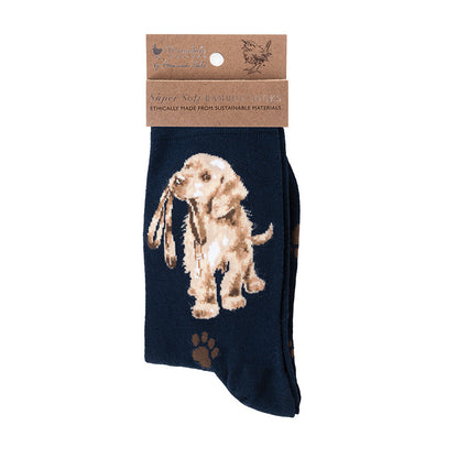 Wrendale Designs medium-sized Socks featuring Hannah Dale's illustration of a Labrador Puppy on a navy background and titled <I>Hopeful</I>