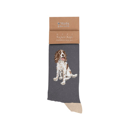 Wrendale Designs Socks Large SPANIEL