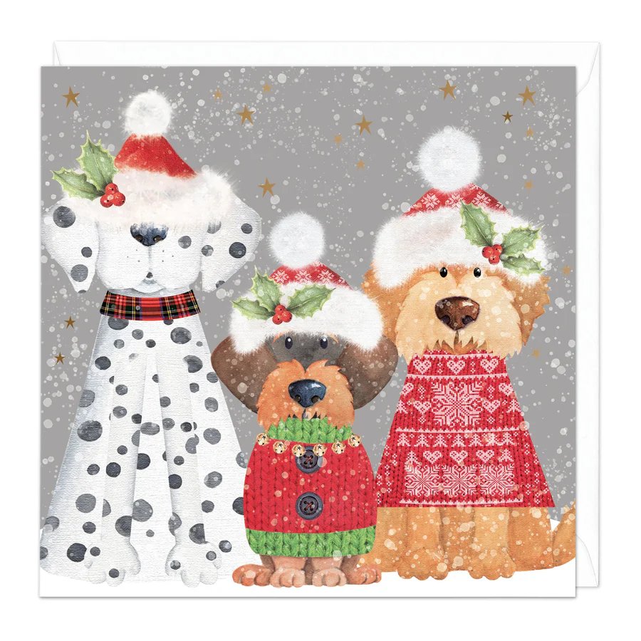 Christmas card THREE WISE DOGS