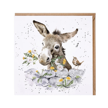Wrendale Designs card Country Set FINE & DANDY donkey dandelions