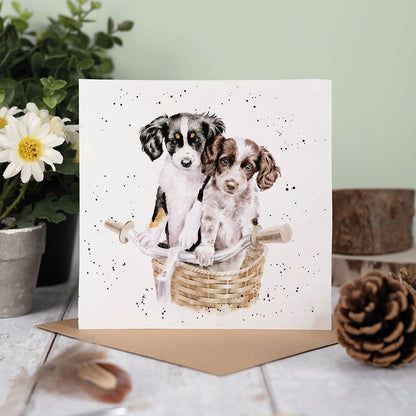 Wrendale Designs card Country Set PAWS & PEDALS spaniel puppies