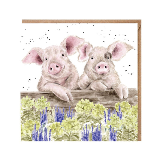 Wrendale Designs card Country Set NOSY NEIGHBOURS pigs