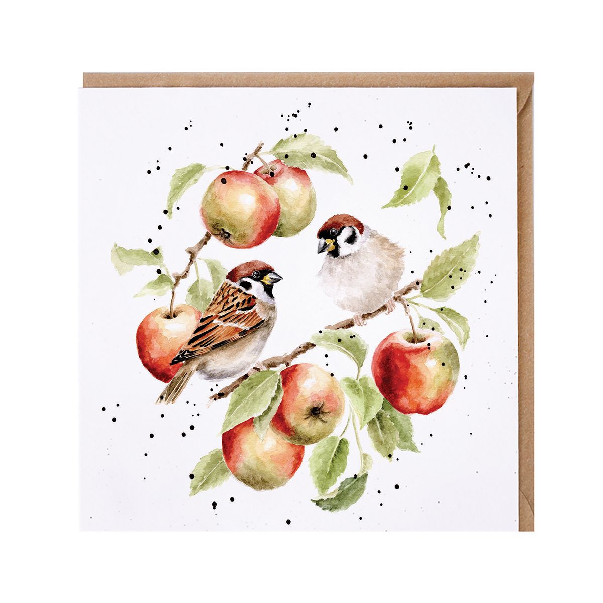 Wrendale Designs card Country Set THE APPLE TREE sparrows