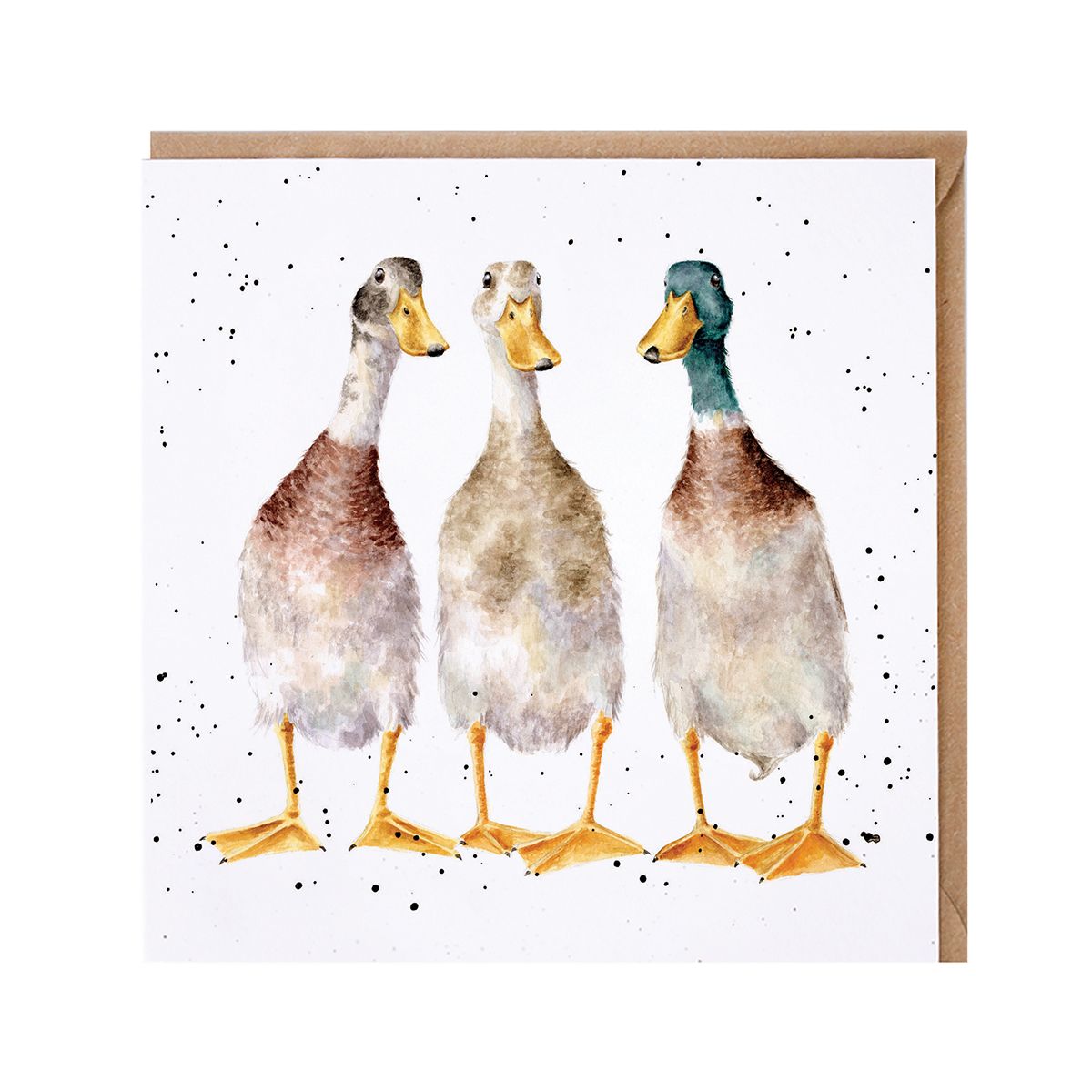 Wrendale Designs card Country Set TALL ORDER ducks three