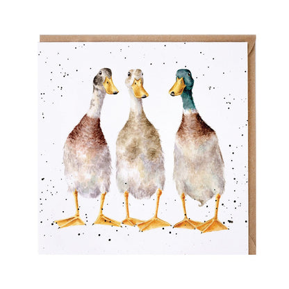 Wrendale Designs card Country Set TALL ORDER ducks three