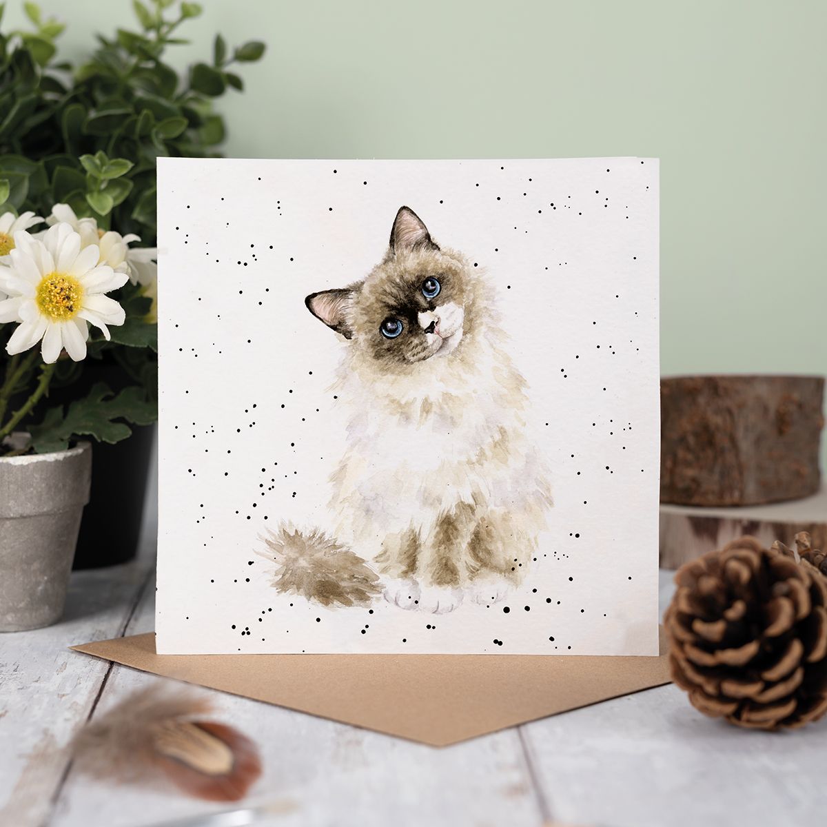 Wrendale Designs card Country Set PAWS FOR THOUGHT ragdoll-cat blue eyes