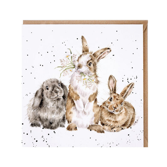 Wrendale Designs card Country Set ALL EARS rabbits three dandelion