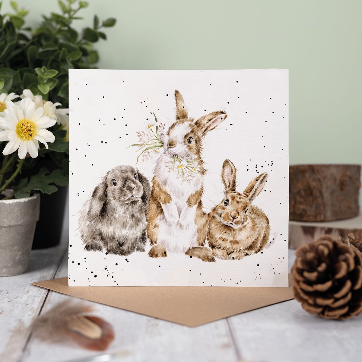 Wrendale Designs card Country Set ALL EARS rabbits three dandelion