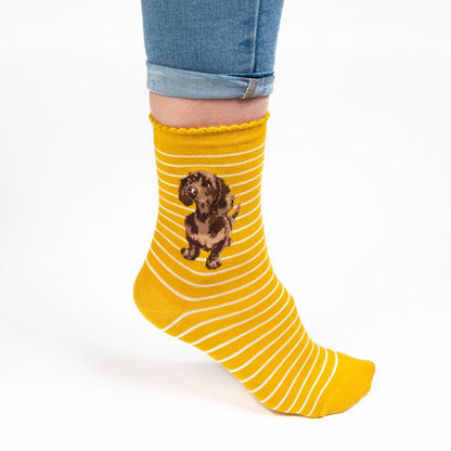 Wrendale Designs Socks Medium DACHSHUND