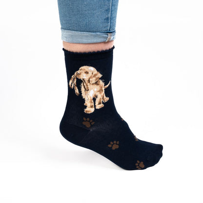 Wrendale Designs Socks Medium LABRADOR