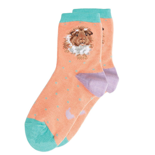 Wrendale Socks Kids 2-4 years GUINEA PIG orange