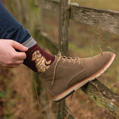 Wrendale Designs Socks Large YELLOW (golden) LABRADOR