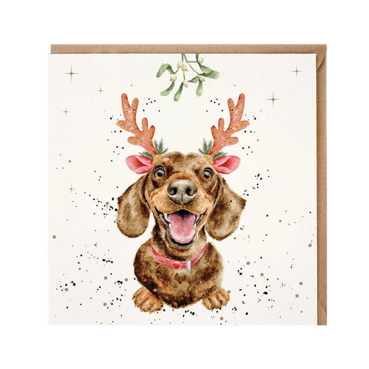 Wrendale Designs Christmas Card single DACHSHUND mistletoe