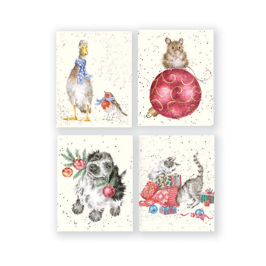 Wrendale Designs Christmas Cards Mini Boxed CATS