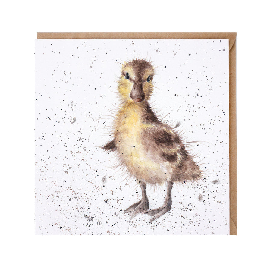 Wrendale Designs card Country Set JUST HATCHED duckling 