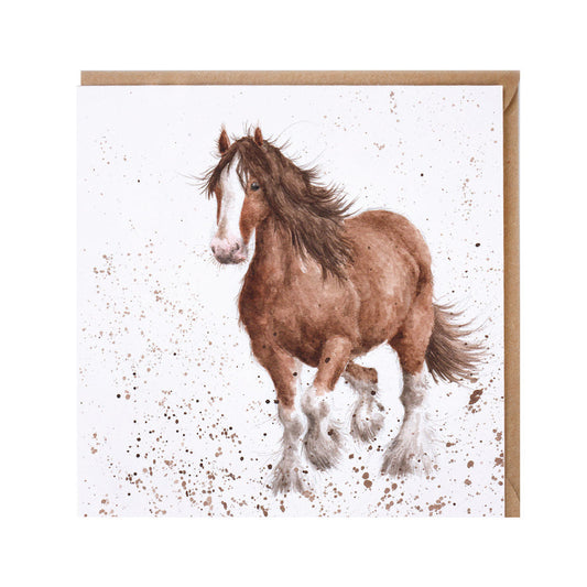 Wrendale Designs card Country Set FEATHERS horse