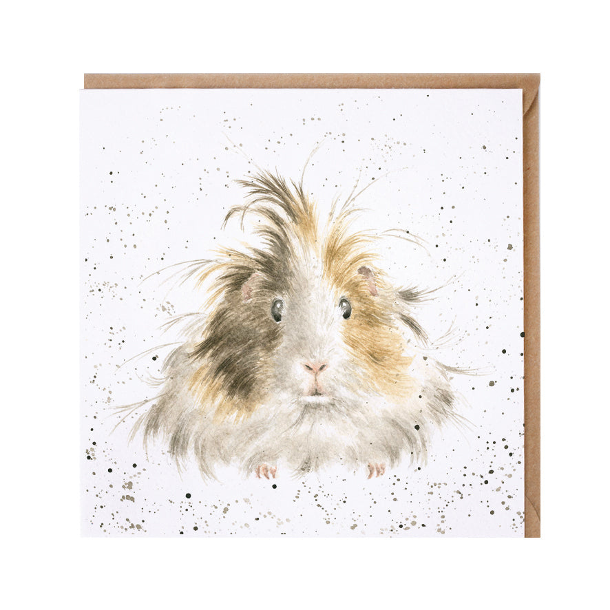 Wrendale Designs card Country Set STYLE QUEEN guinea pig