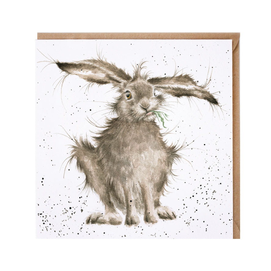 Wrendale Designs card Country Set HARE BRAINED hare