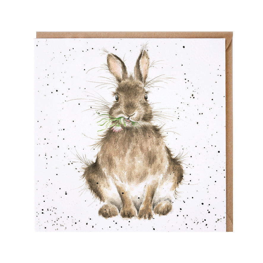 Wrendale Designs card Country Set DAISY rabbit