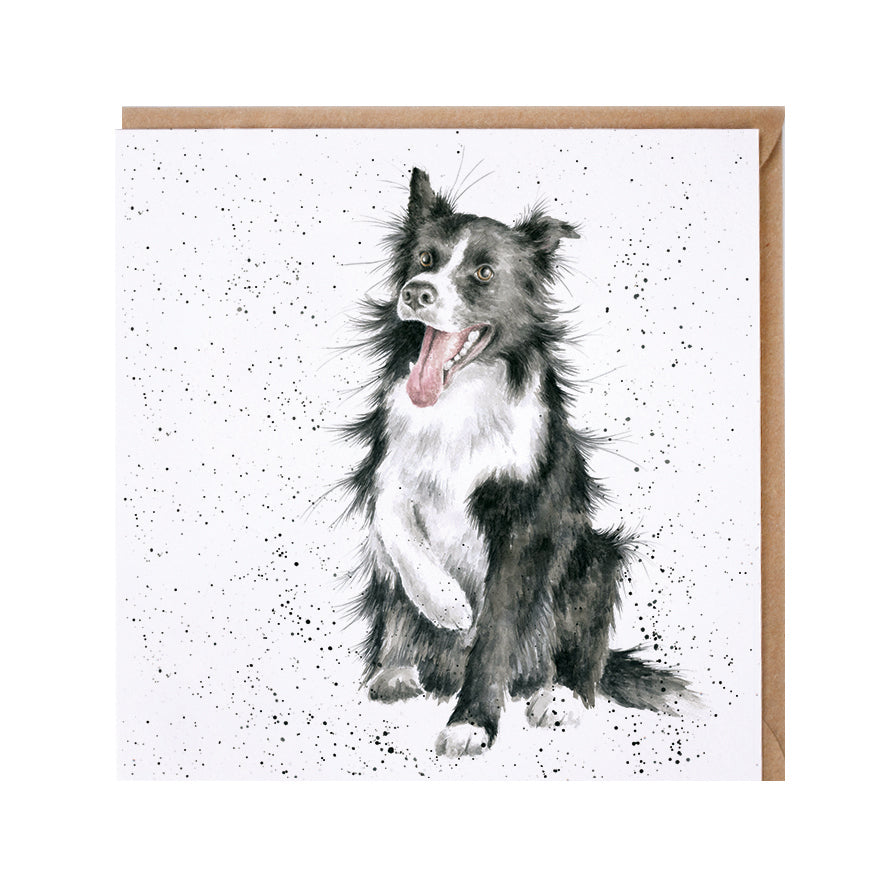 Wrendale Designs card Country Set SHADOW border collie