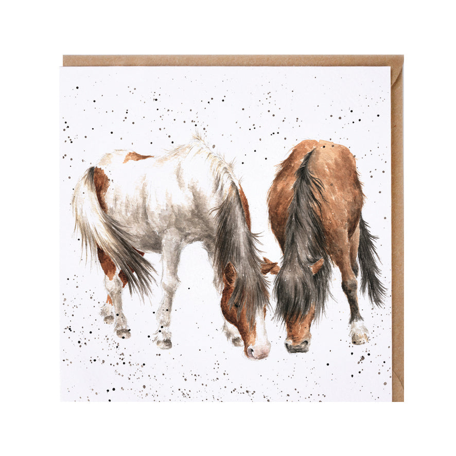 Wrendale Designs card Country Set STABLEMATES horses