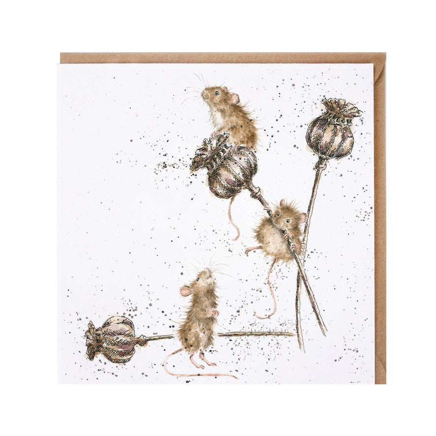 Wrendale Designs card Country Set COUNTRY MICE mice thistles