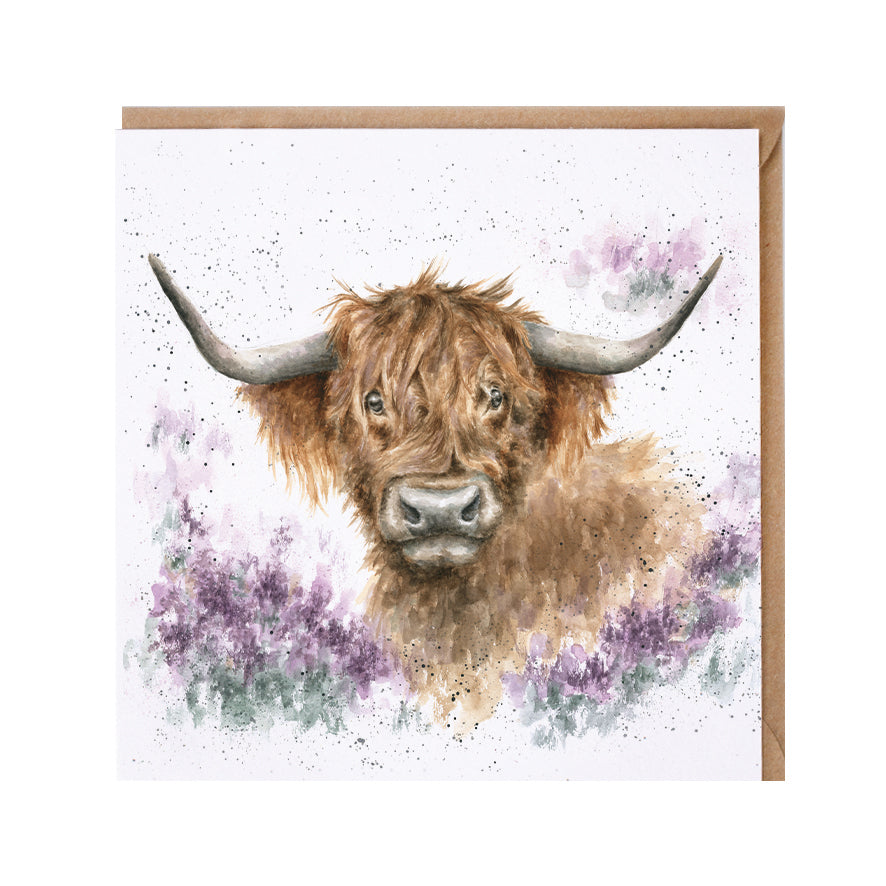 Wrendale Designs card Country Set HIGHLAND HEATHERS cow heather